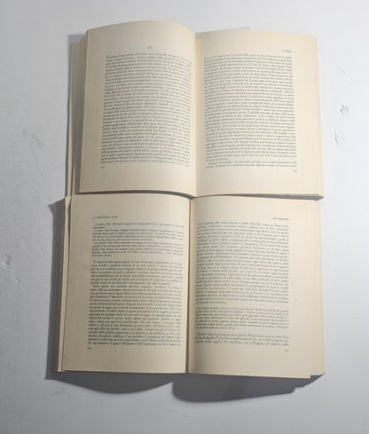Pagine interne testo dell'edizione italiana de Il Secondo Sesso di Simone de Beauvoir Iolibrocarmine