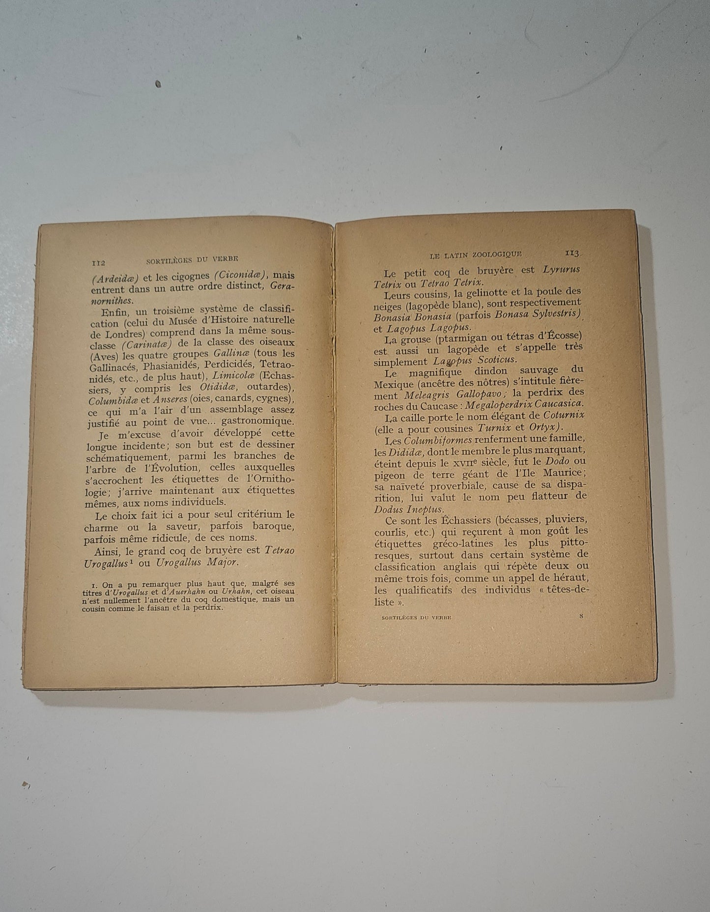 Pagine interne del volume francese di Matila C Ghyka io libro carmine