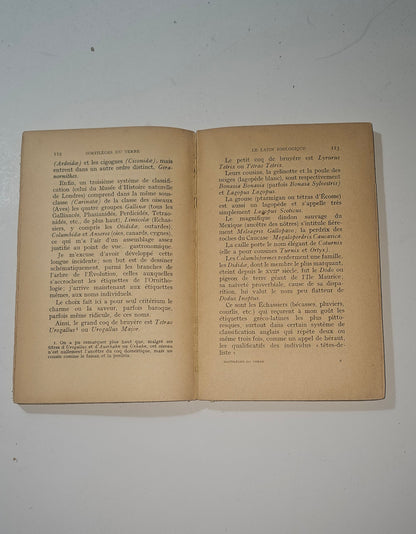 Pagine interne del volume francese di Matila C Ghyka io libro carmine