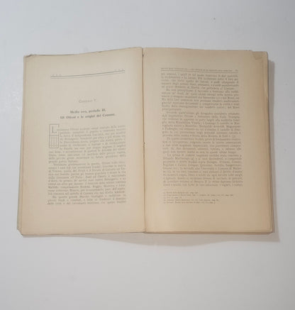 Pagine interne dedicate agli Ottoni e alle origini del Comune di Brescia iolibrocarmine
