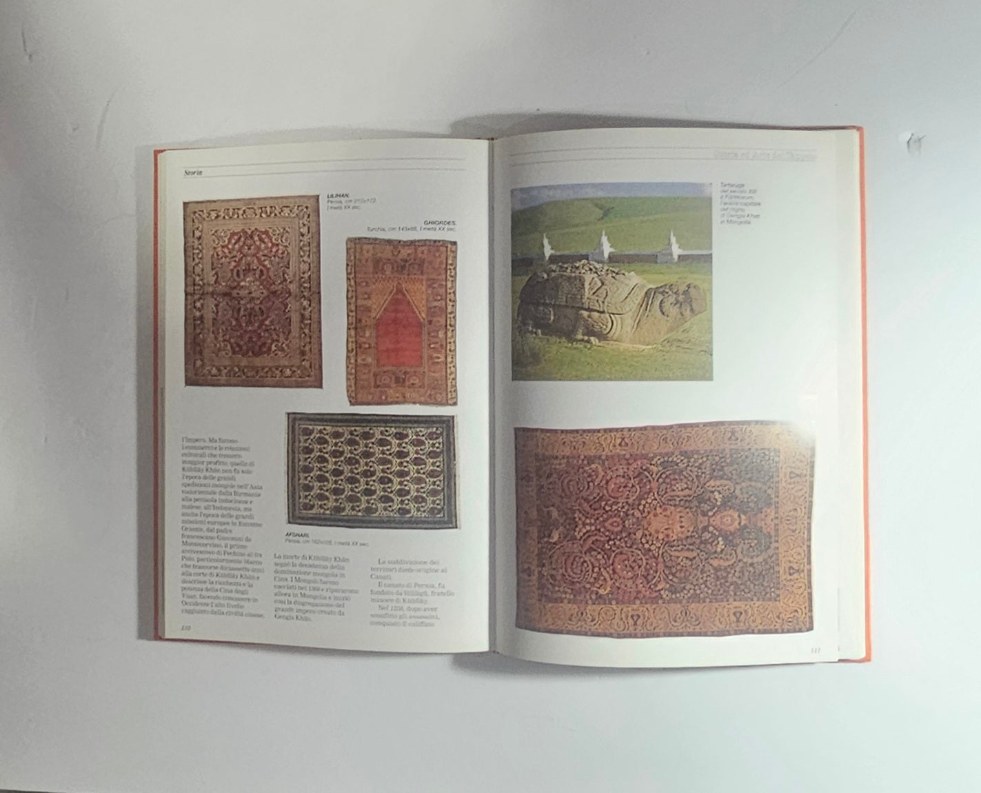 iolibrocarmine pagine illustrate tappeti persiani
