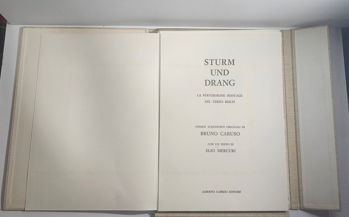 iolibrocarmine frontespizio Sturm Und Drang 1968
