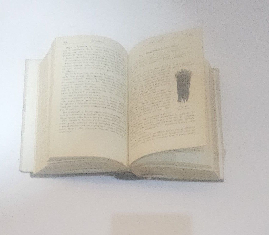 Orticoltura – D. Tamaro | Manuali Hoepli | Nona edizione - IOLIBROCARMINE