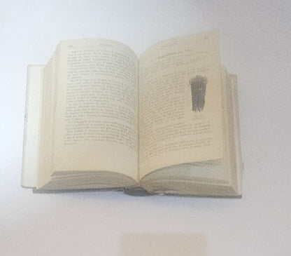 Orticoltura – D. Tamaro | Manuali Hoepli | Nona edizione - IOLIBROCARMINE