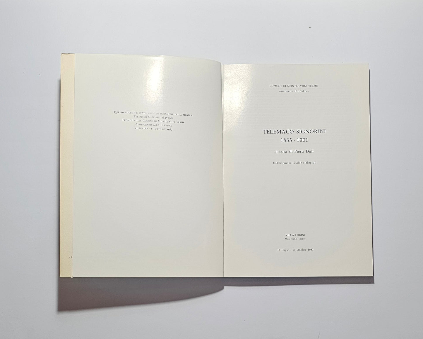 Frontespizio titolo  catalogo Signorini illustrato io libro carmine
