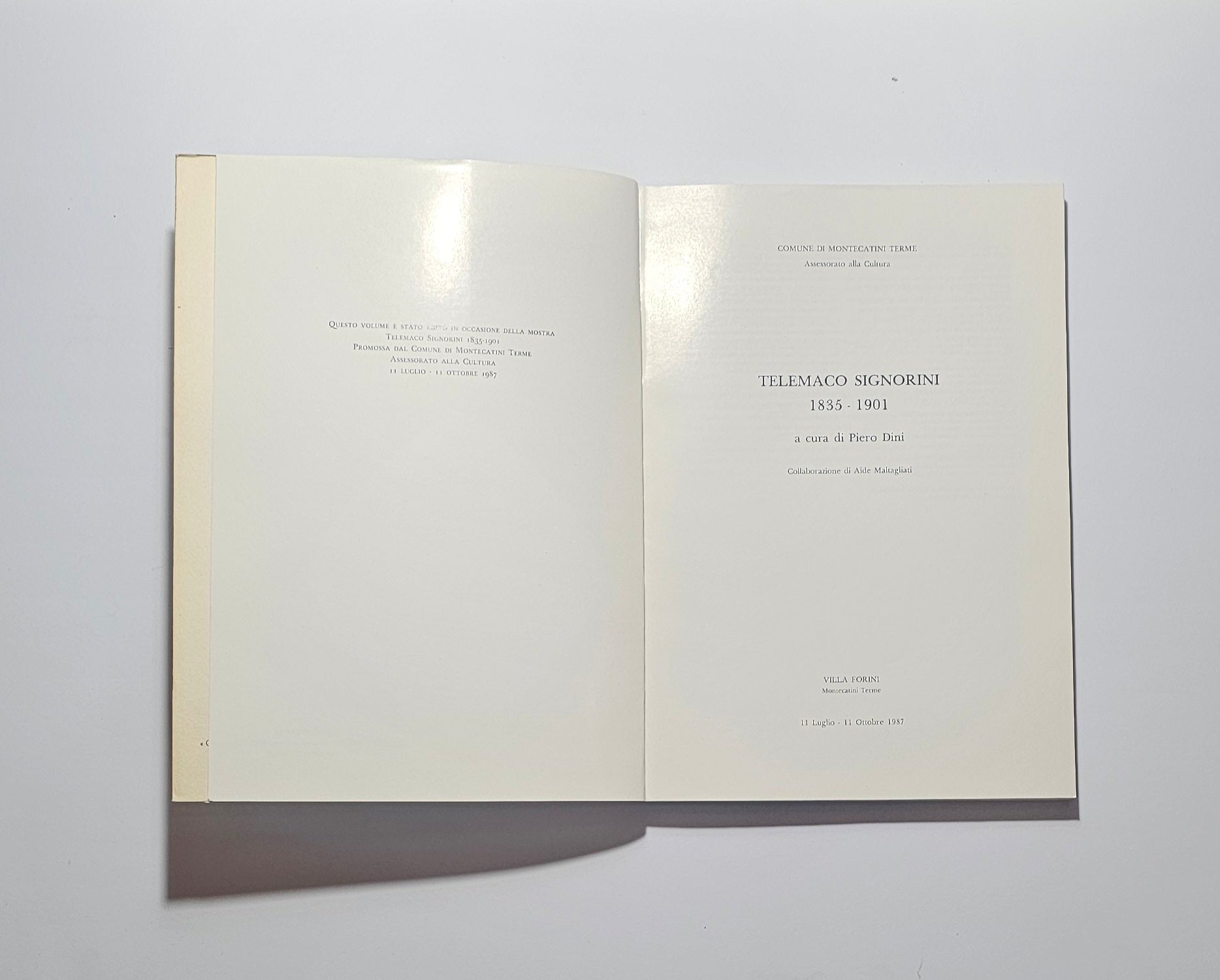 Frontespizio titolo  catalogo Signorini illustrato io libro carmine
