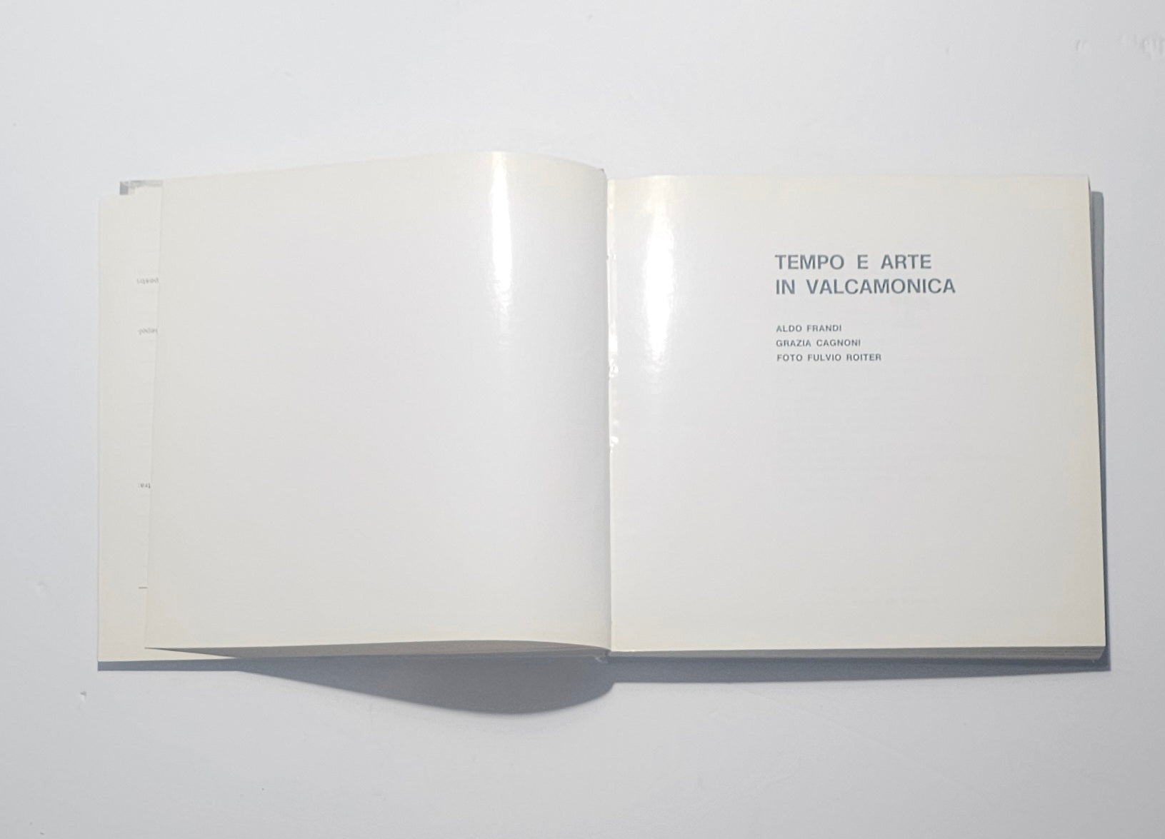 Frontespizio del volume Tempo e Arte in Valcamonica con nomi degli autori io libro carmine