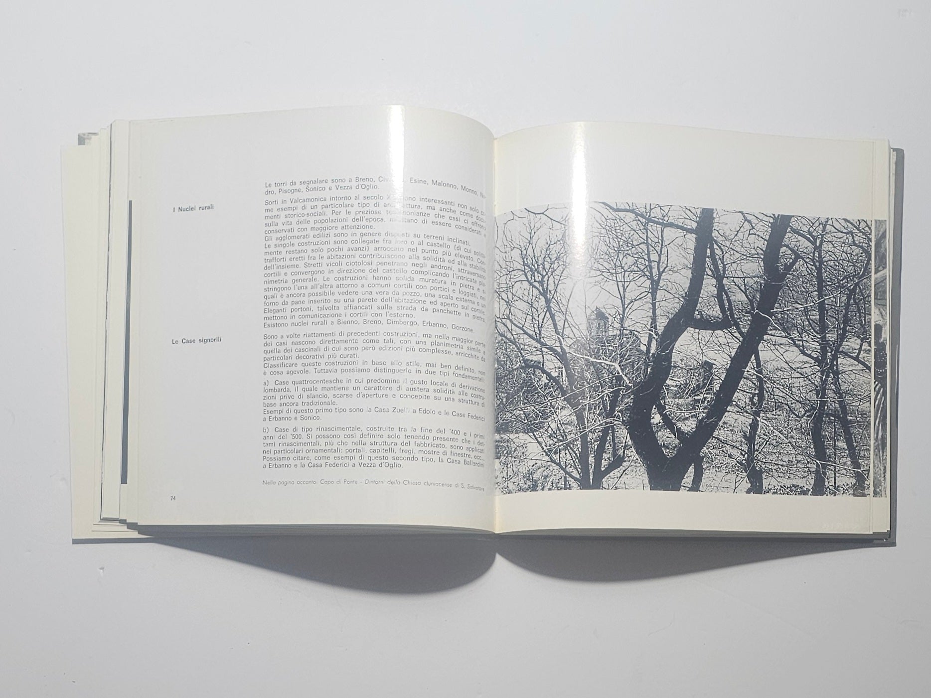 Pagina interna con paesaggio rurale e architettura della Valcamonica io libro carmine