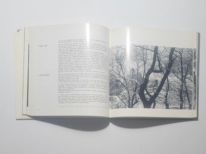 Pagina interna con paesaggio rurale e architettura della Valcamonica io libro carmine
