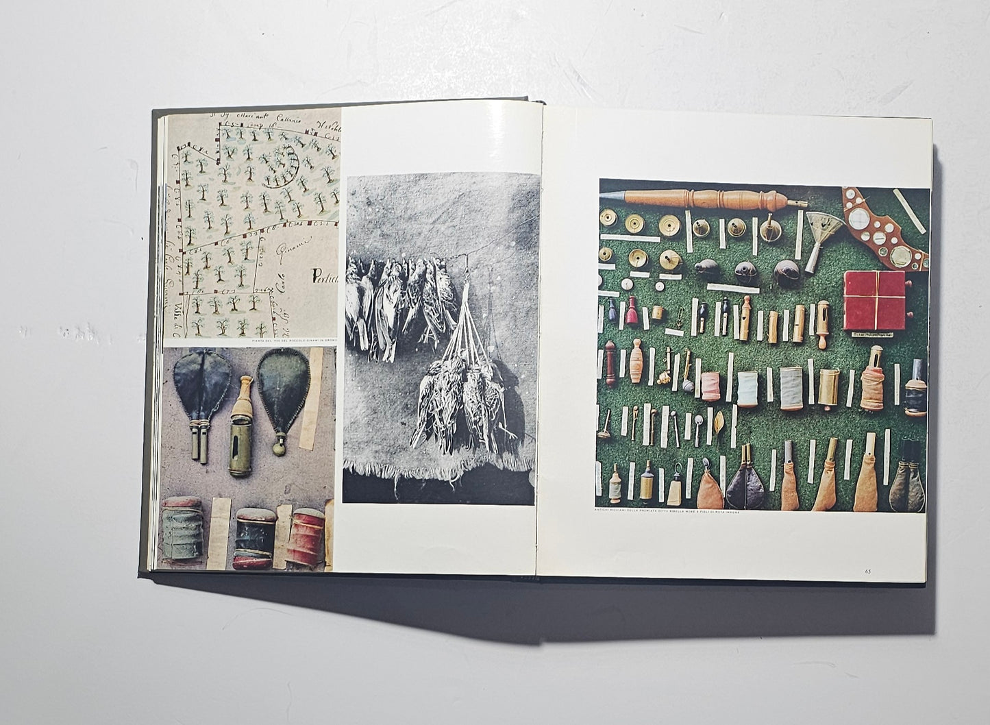 Dettaglio immagini fotografiche a colori dell’opera Terra di Bergamo iolibrocarmine