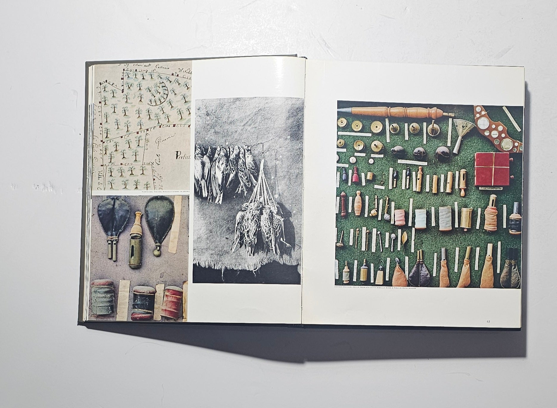 Dettaglio immagini fotografiche a colori dell’opera Terra di Bergamo iolibrocarmine
