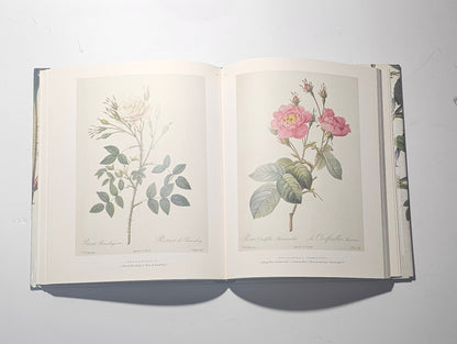 Tavole botaniche illustrate di rose nel volume The Roses iolibrocarmine