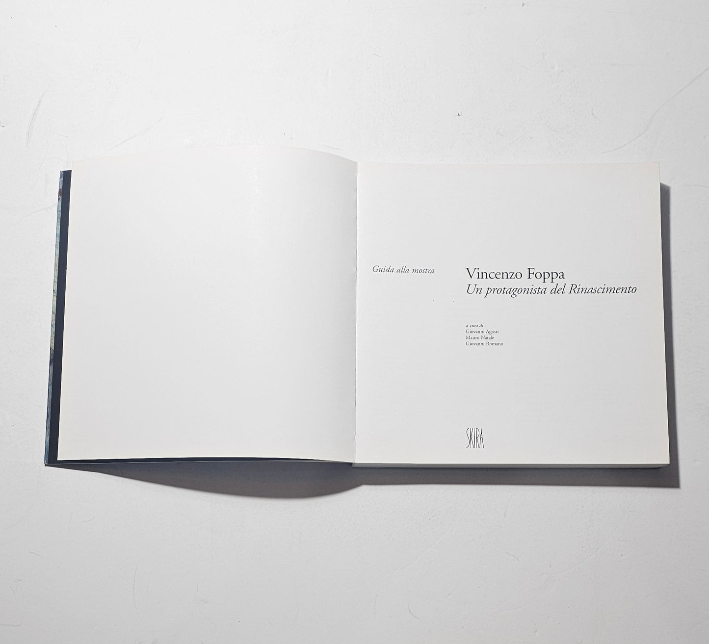 Frontespizio Vincenzo Foppa un protagonista del Rinascimento iolibrocarmine