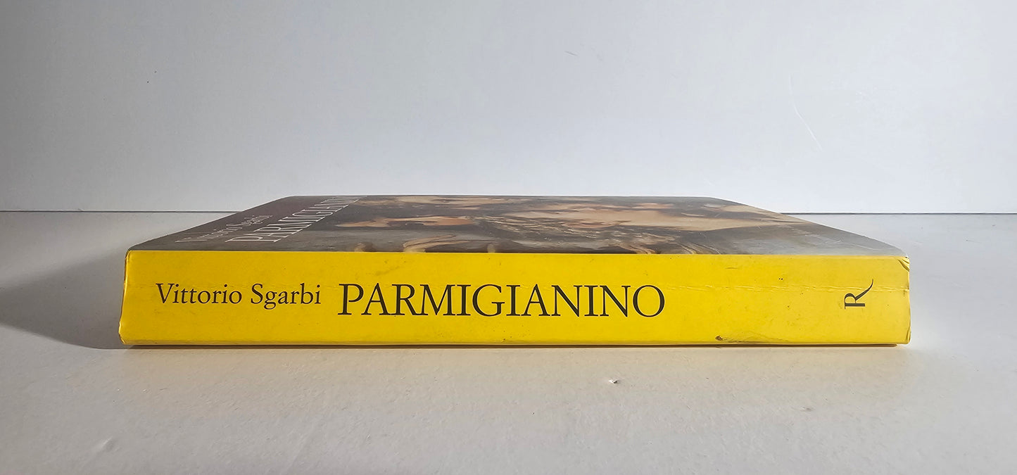 Dettaglio volume illustrato dorso arte italiana io libro carmine