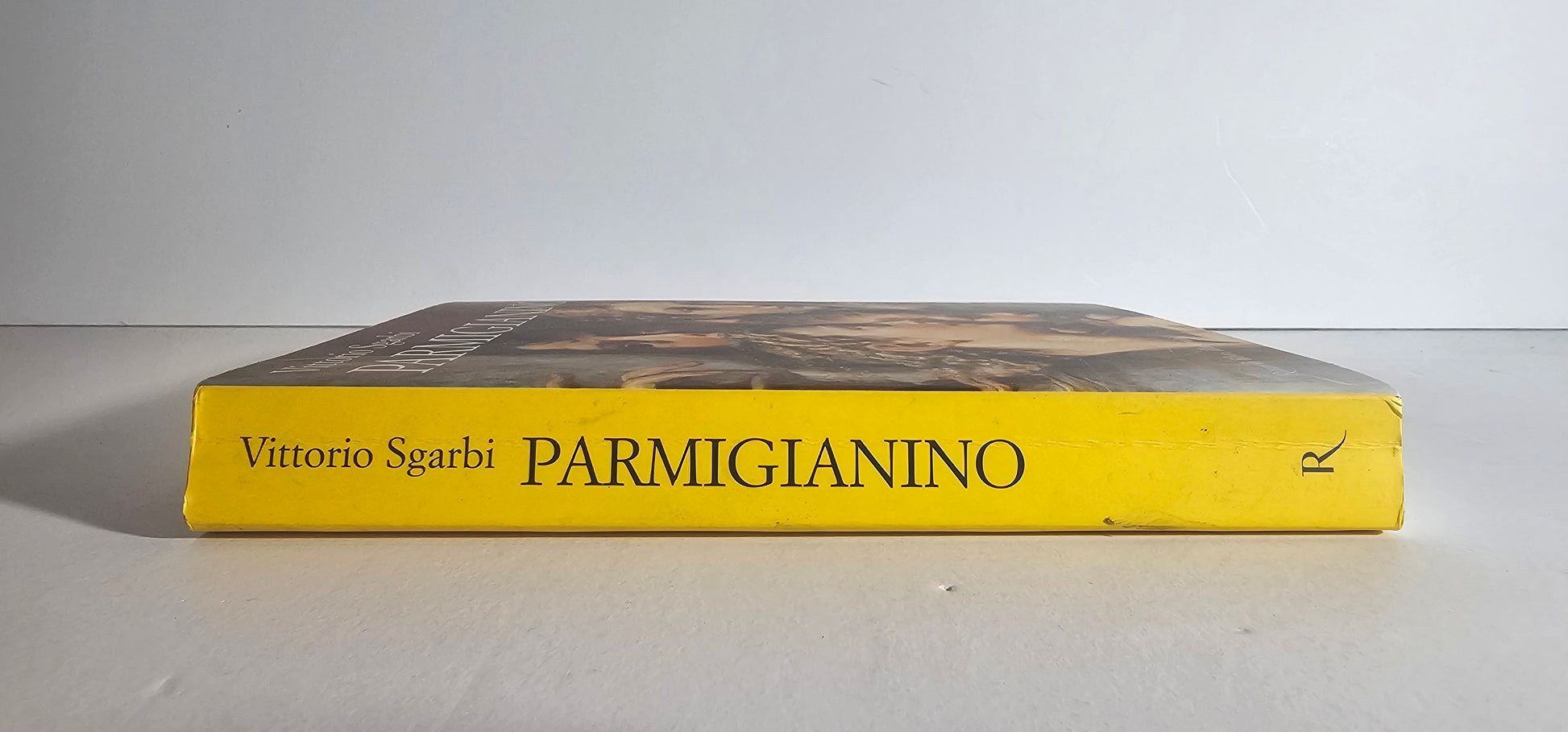 Dettaglio volume illustrato dorso arte italiana io libro carmine