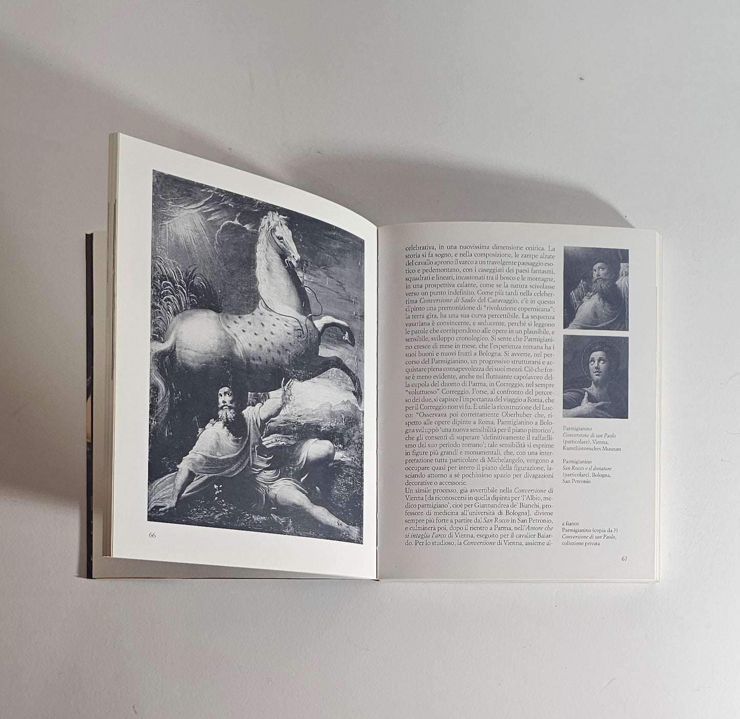 Pagine interne arte manierista Parmigianino io libro carmine
testo tavole