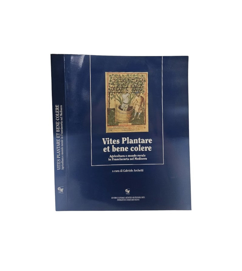 Vites plantare et bene colere. Agricoltura e mondo rurale in Franciacorta nel Medioevo