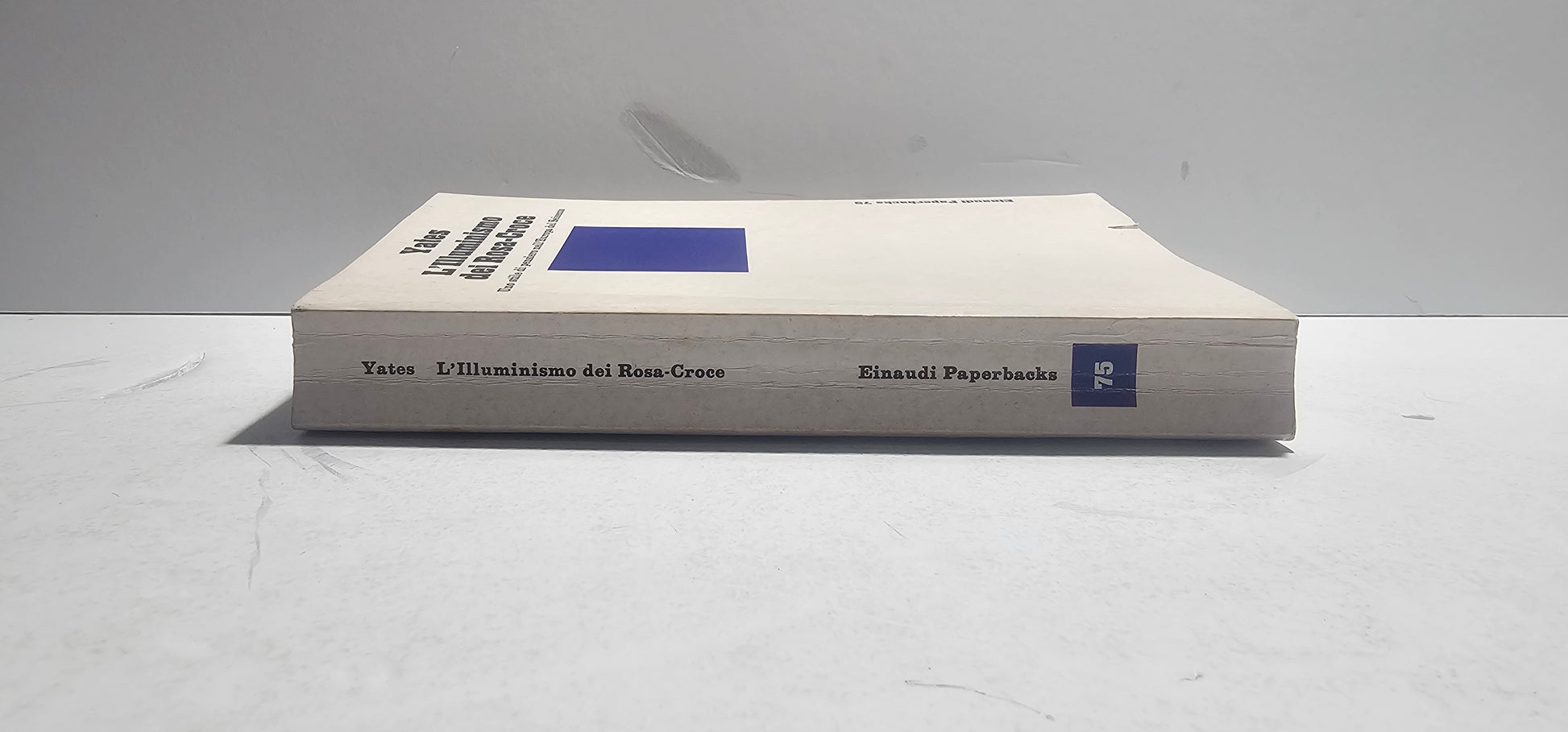 Pagine interne illustrate del saggio sui Rosa-Croce e l’ermetismo europeo iolibrocarmine