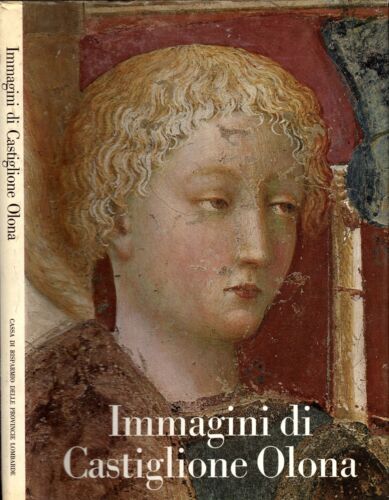 IMMAGINI DI CASTIGLIONE OLONA** - IOLIBROCARMINE